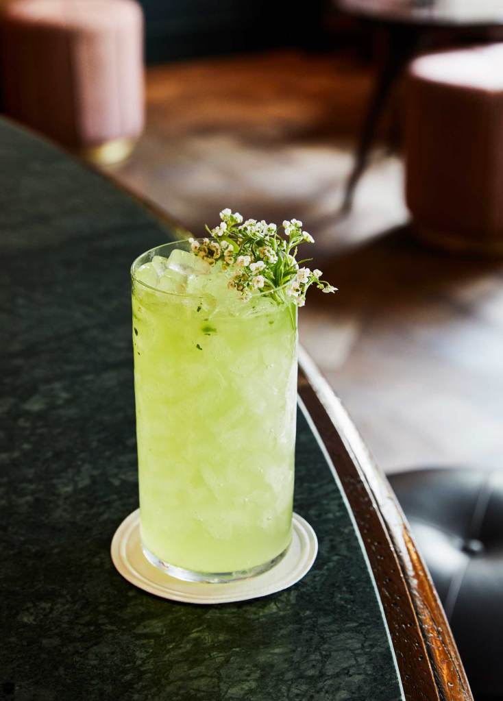 Lime green cocktail at Jacques Bar