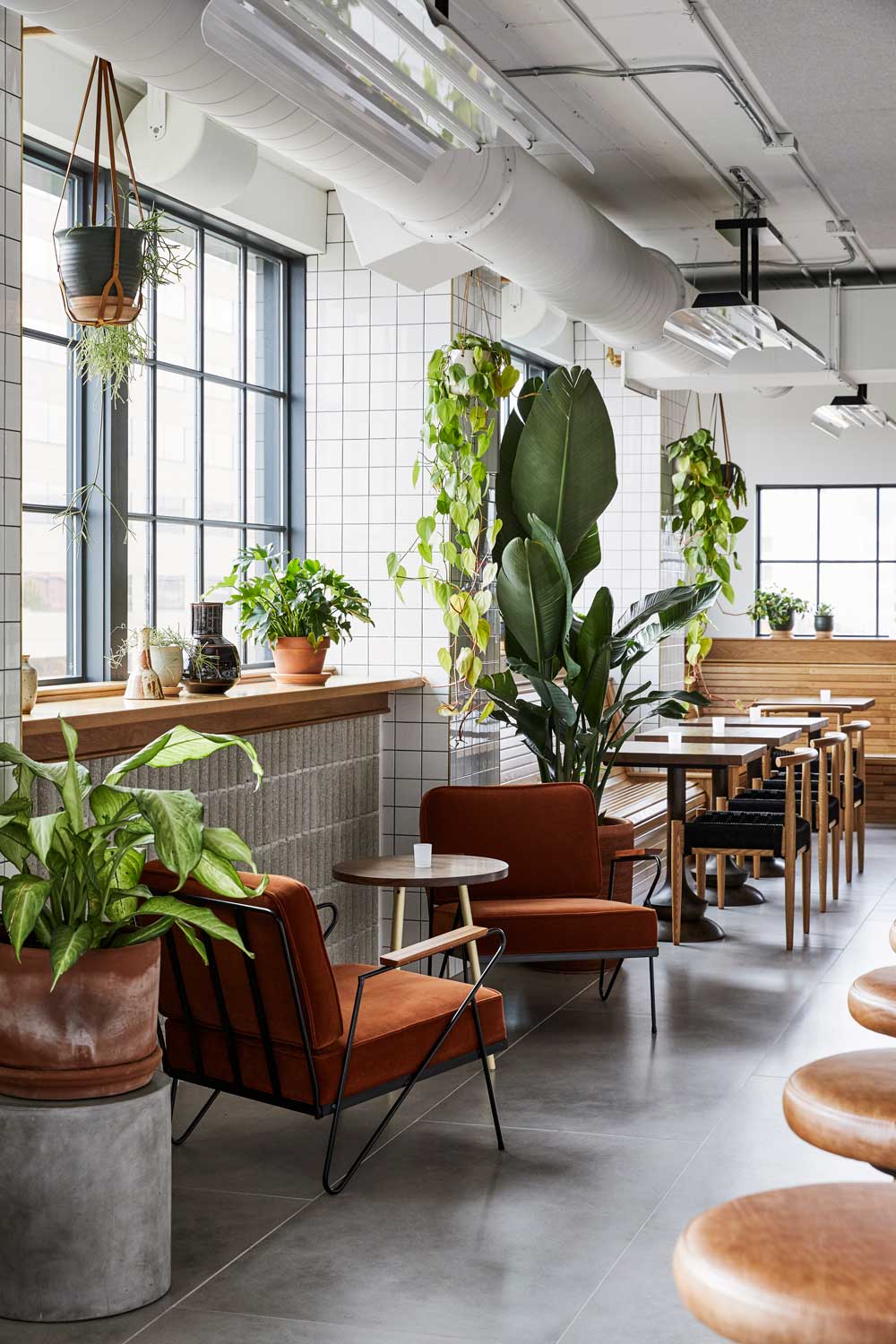The inside of the restaurant during the day is bright, full of natural light and plants