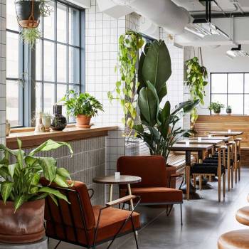 The inside of the restaurant during the day is bright, full of natural light and plants