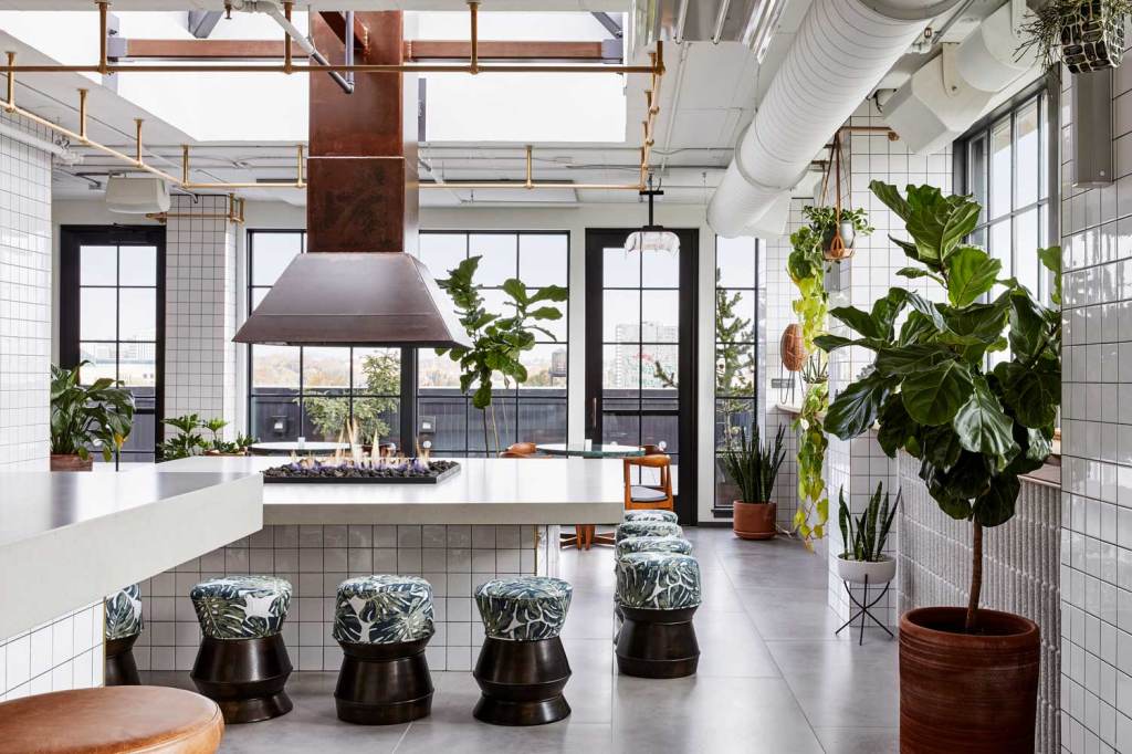 Big windows and skylights ensure the restaurant gets lots of natural light, which compliments the white tiling and abundance of plants in the space