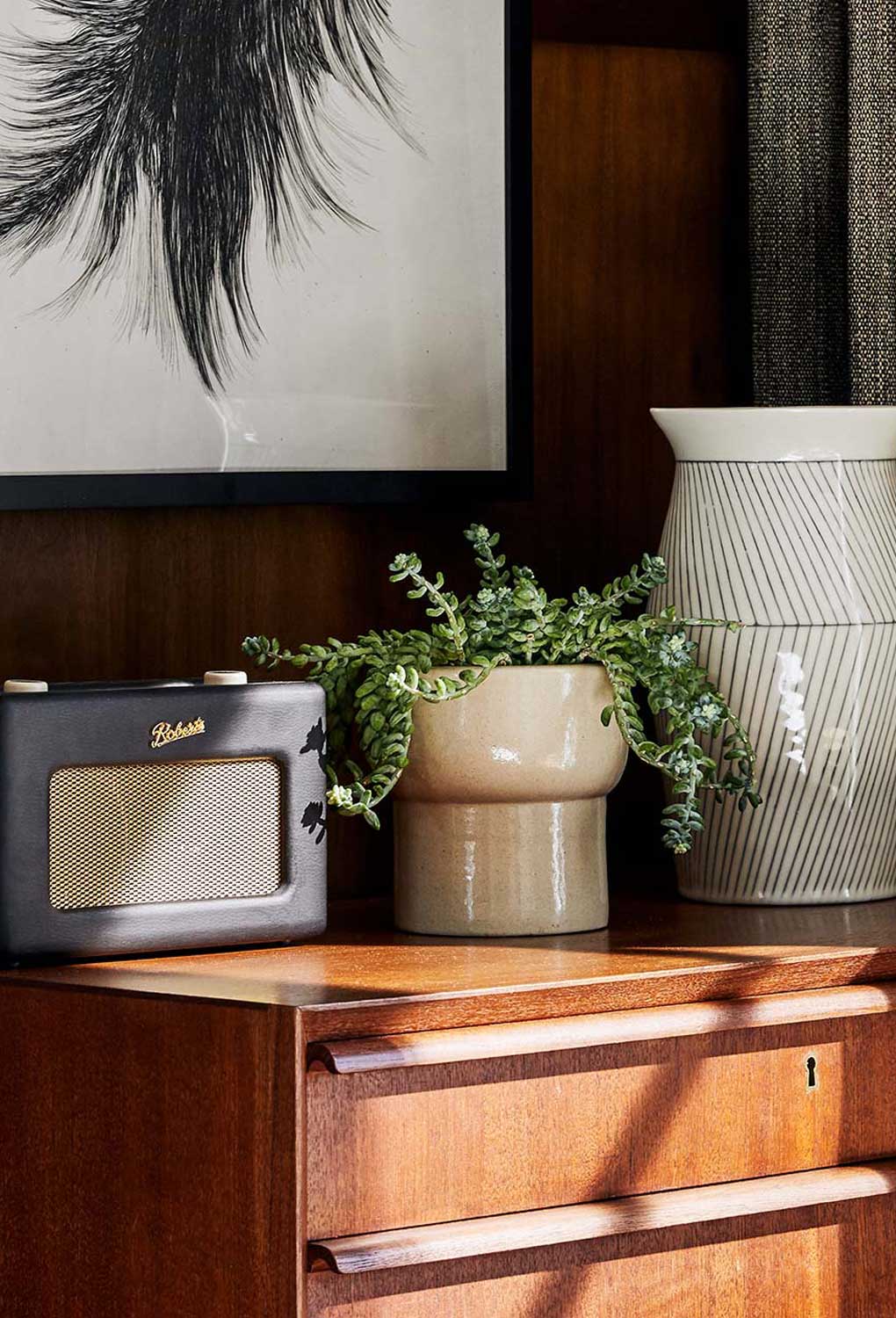 Radio, plant and vase