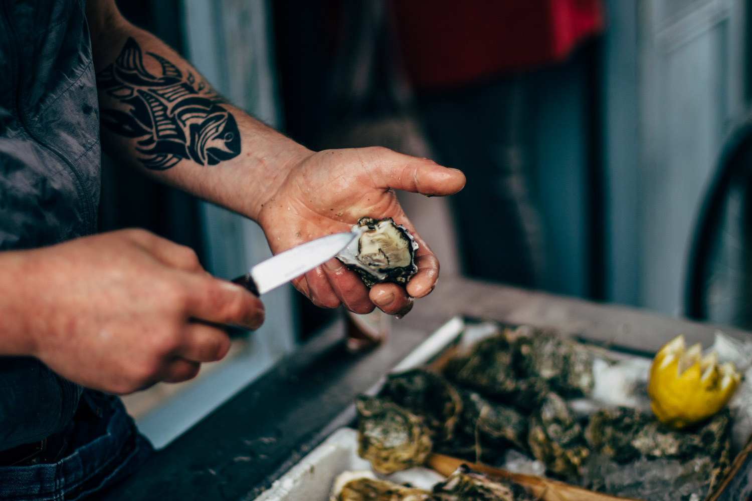 Oysters at Fin and Flounder