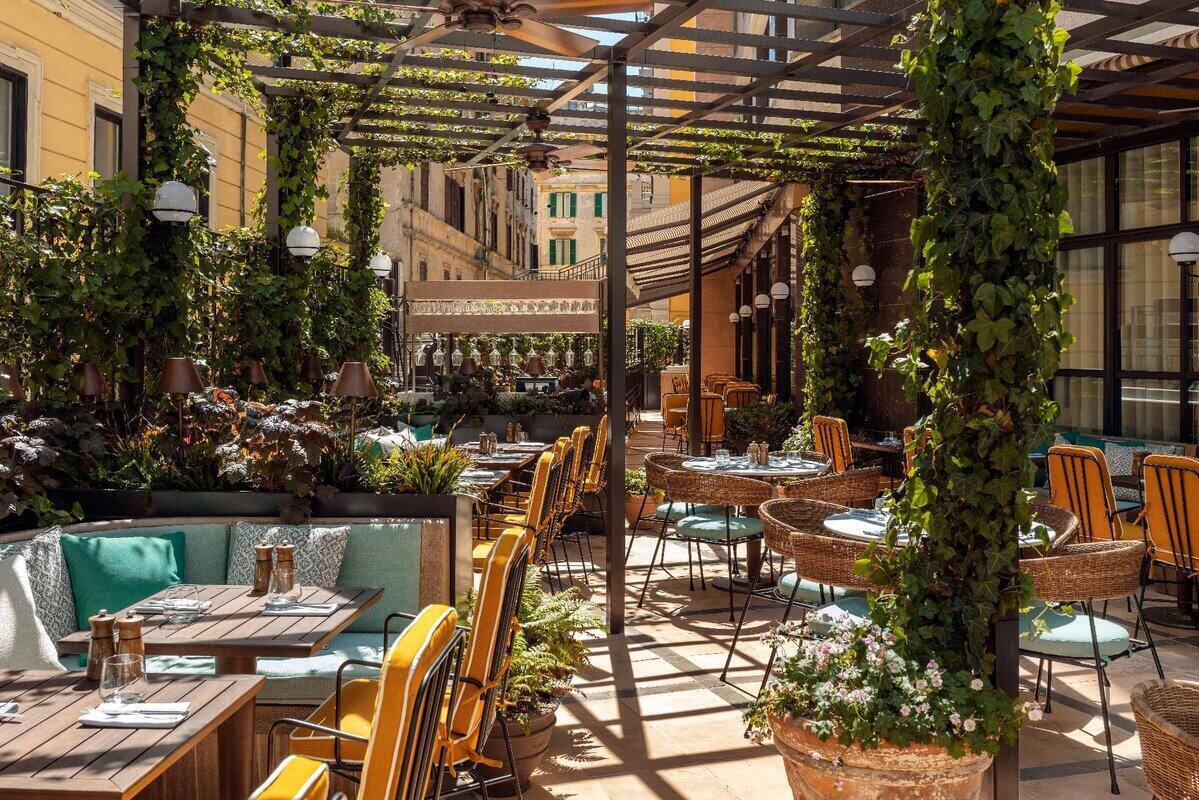 Sunny outside terrace with many plants and seating options