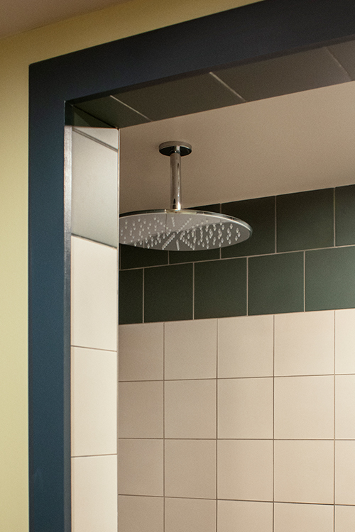 Rainforest shower head in tiled bathroom