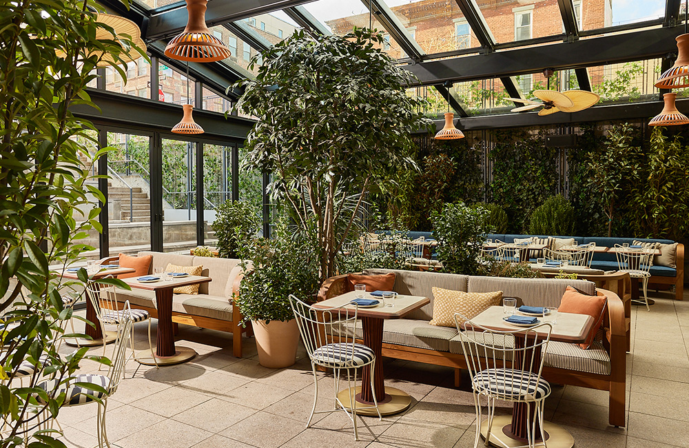 K'Far interior with glass roof and lots of green plants to create a rainforest feel.