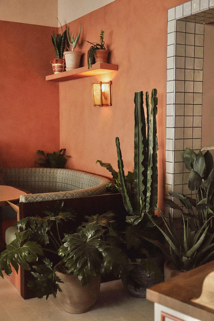A booth at Tope Brussels with decorative cacti around it.