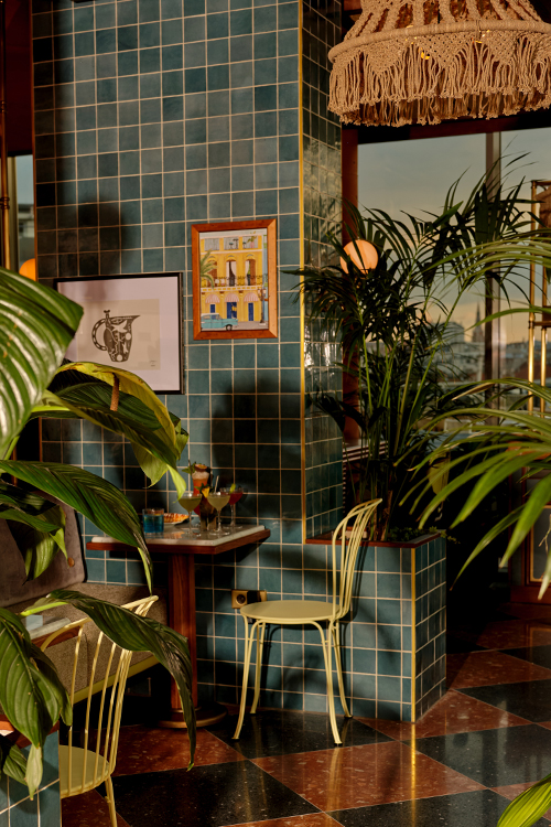 View of the interior, table with drinks surrounded by indoor plants.