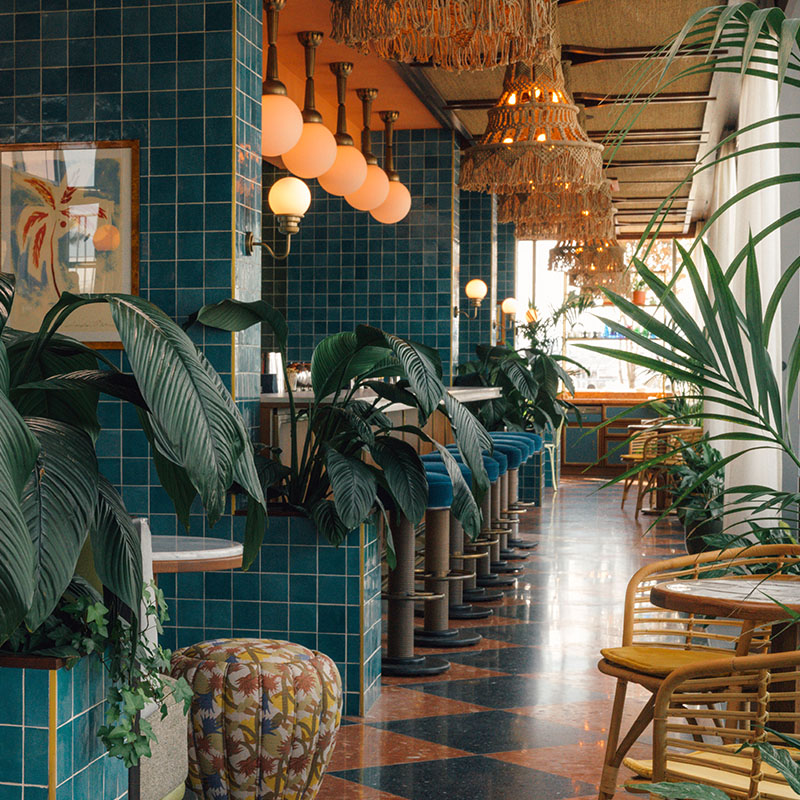 Side-angle view of the bar with private seating areas surrounded by indoor plants.