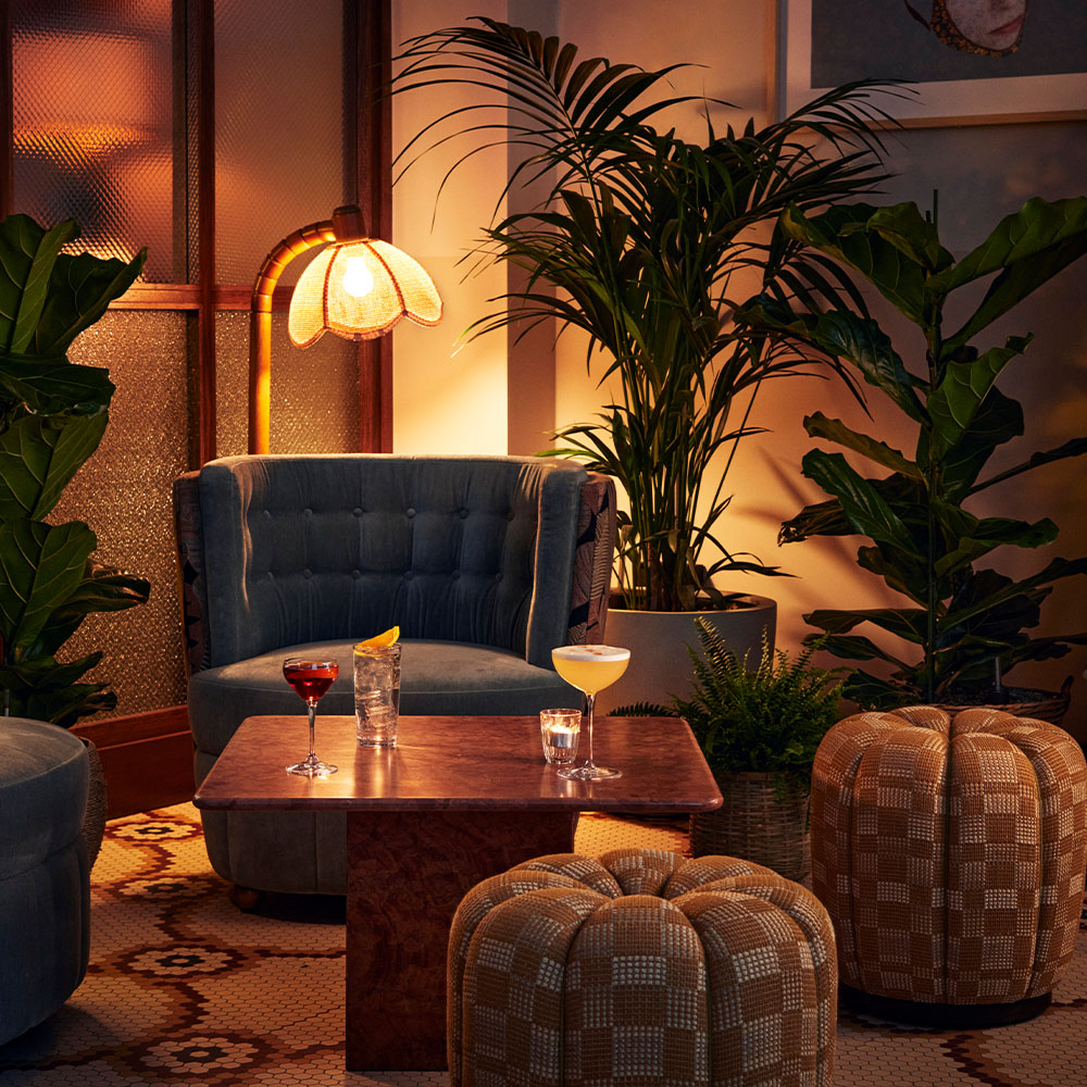 Bar corner at nighttime, with loads of indoor plant and dim light from a floor lamp.