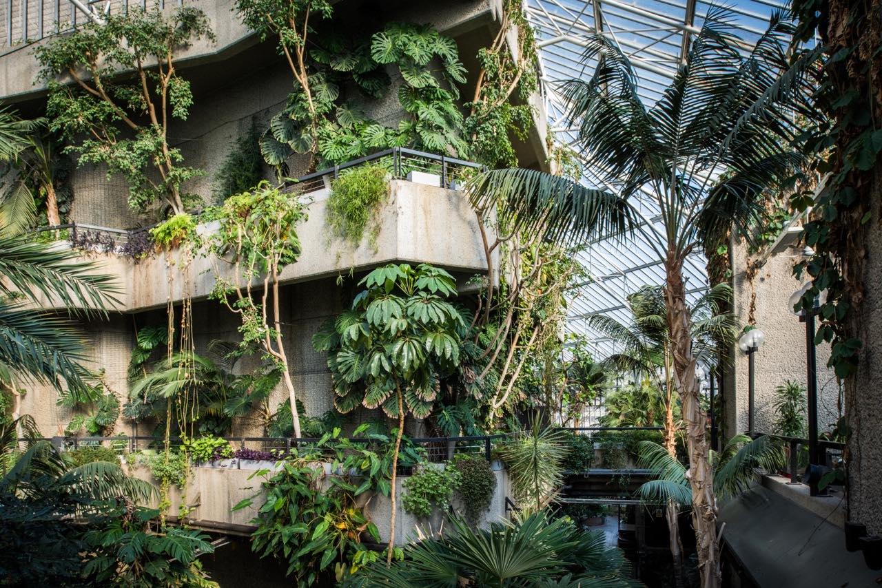 Barbican Conservatory - The Localist, Hoxton Hotels.